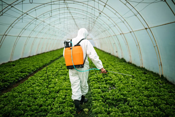 Best Pest Control Near Me  in Penns Grove, NJ