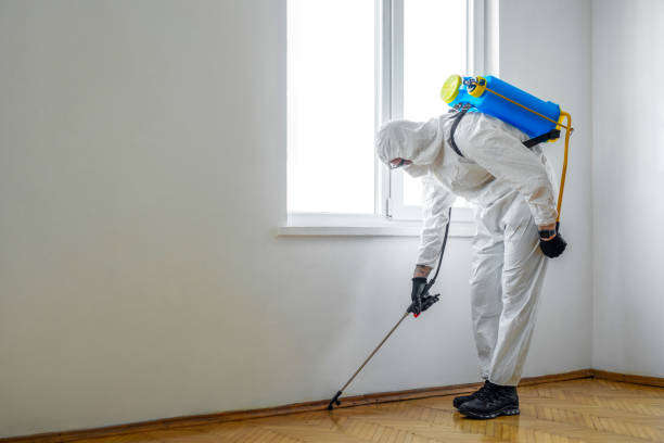 Best Mosquito Control Services  in Penns Grove, NJ