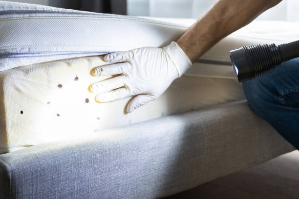 Professional Pest Control in Penns Grove, NJ