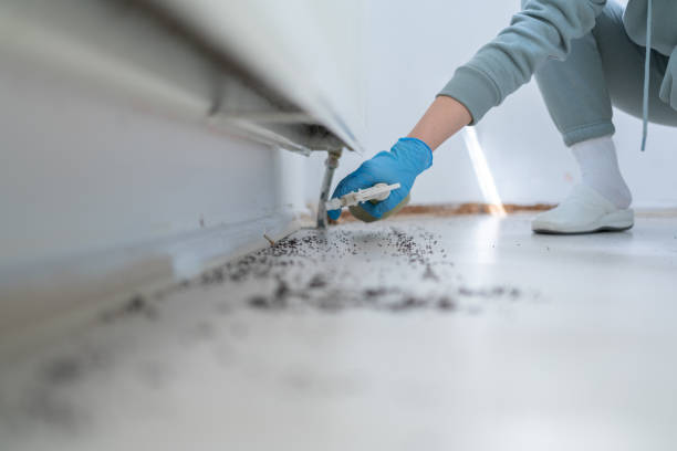 Best Pest Prevention Services  in Penns Grove, NJ