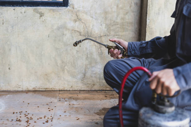 Best Pest Removal Services  in Penns Grove, NJ