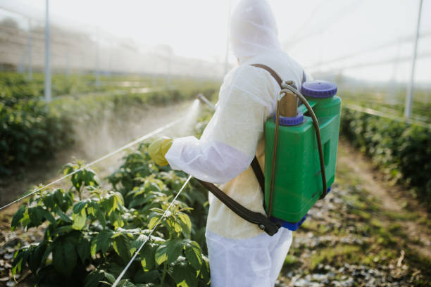 Wildlife Control Services in Penns Grove, NJ